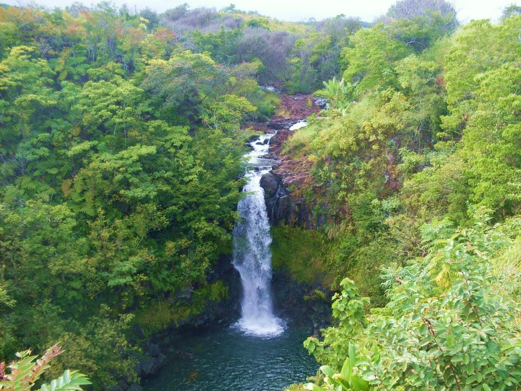 Kamaee Falls Hakalau Big Island Hawaii