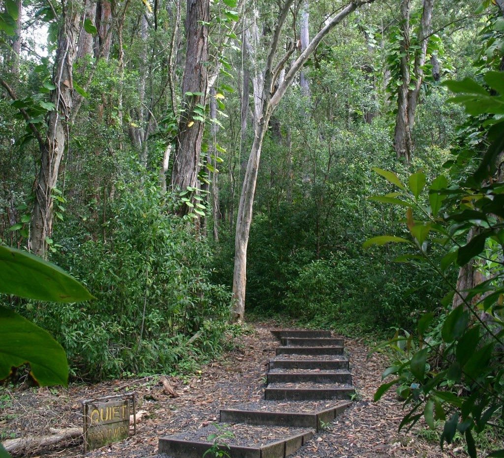 Waikamoi Nature Trail - Maui, Hawaii