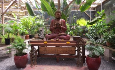 The Sacred Garden Maui - Buddha Garden