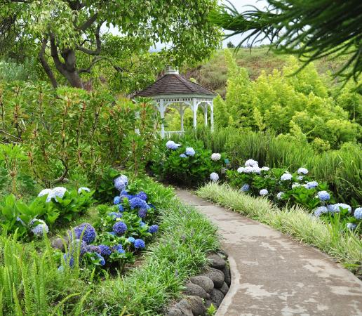 Kula Botanical Garden Maui Hawaii