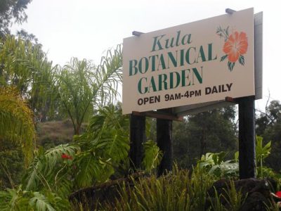 Kula Botanical Garden Maui Hawaii