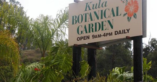Kula Botanical Garden Maui Hawaii Only In Hawaii