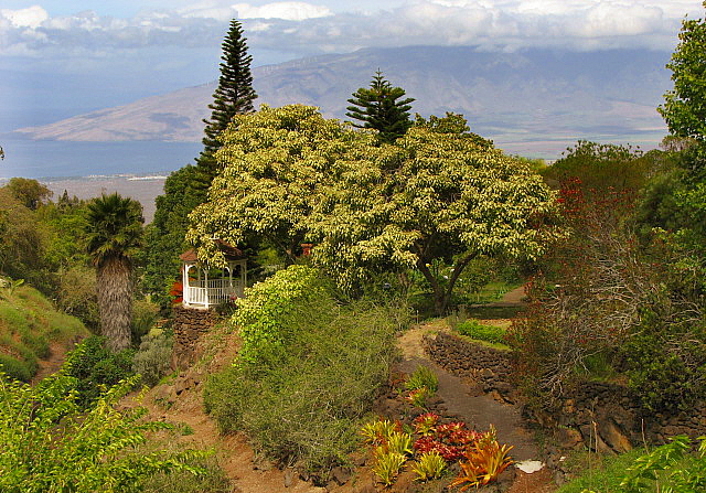 Kula Botanical Garden in Maui, Hawaii