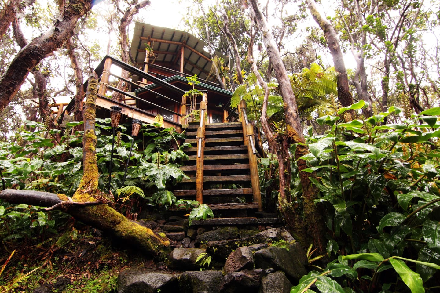 Kilauea Tree House - Hawaii Volcanoes National Park